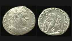 Syria, Seleucis and Pieria, Caracalla, Tetradrachm, Eagle with Murex Shell reverse